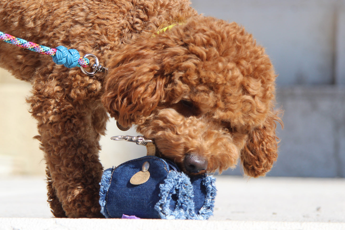Coordinati "Blu" - Jeans
