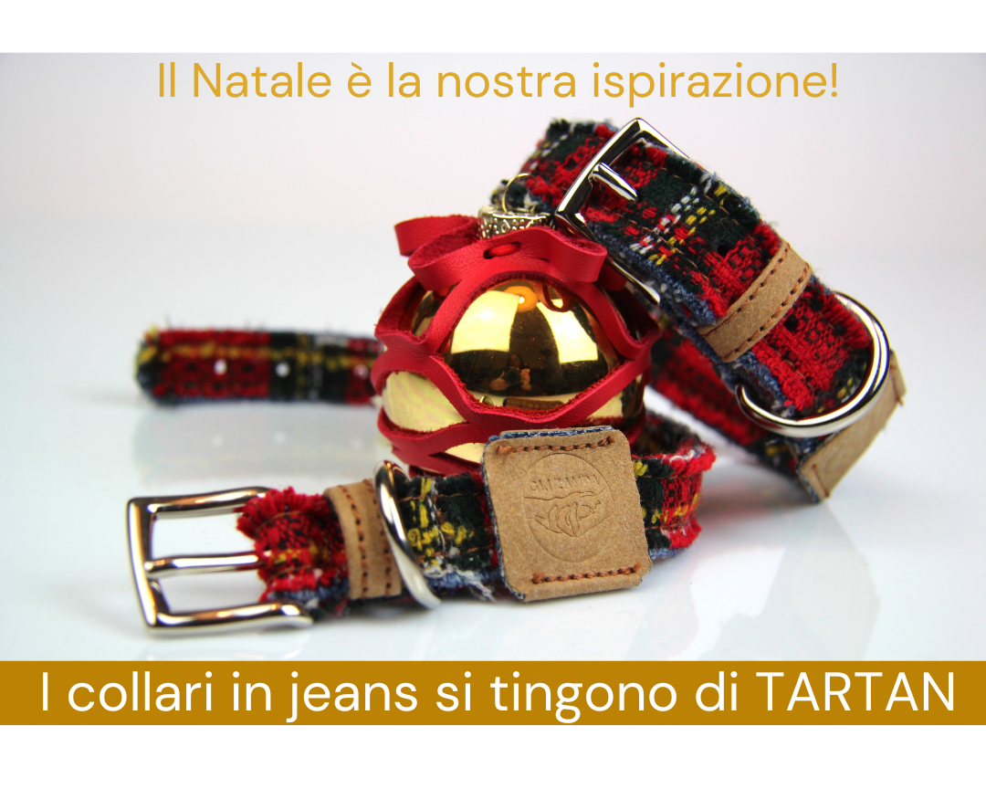 Collari Tartan Jeans